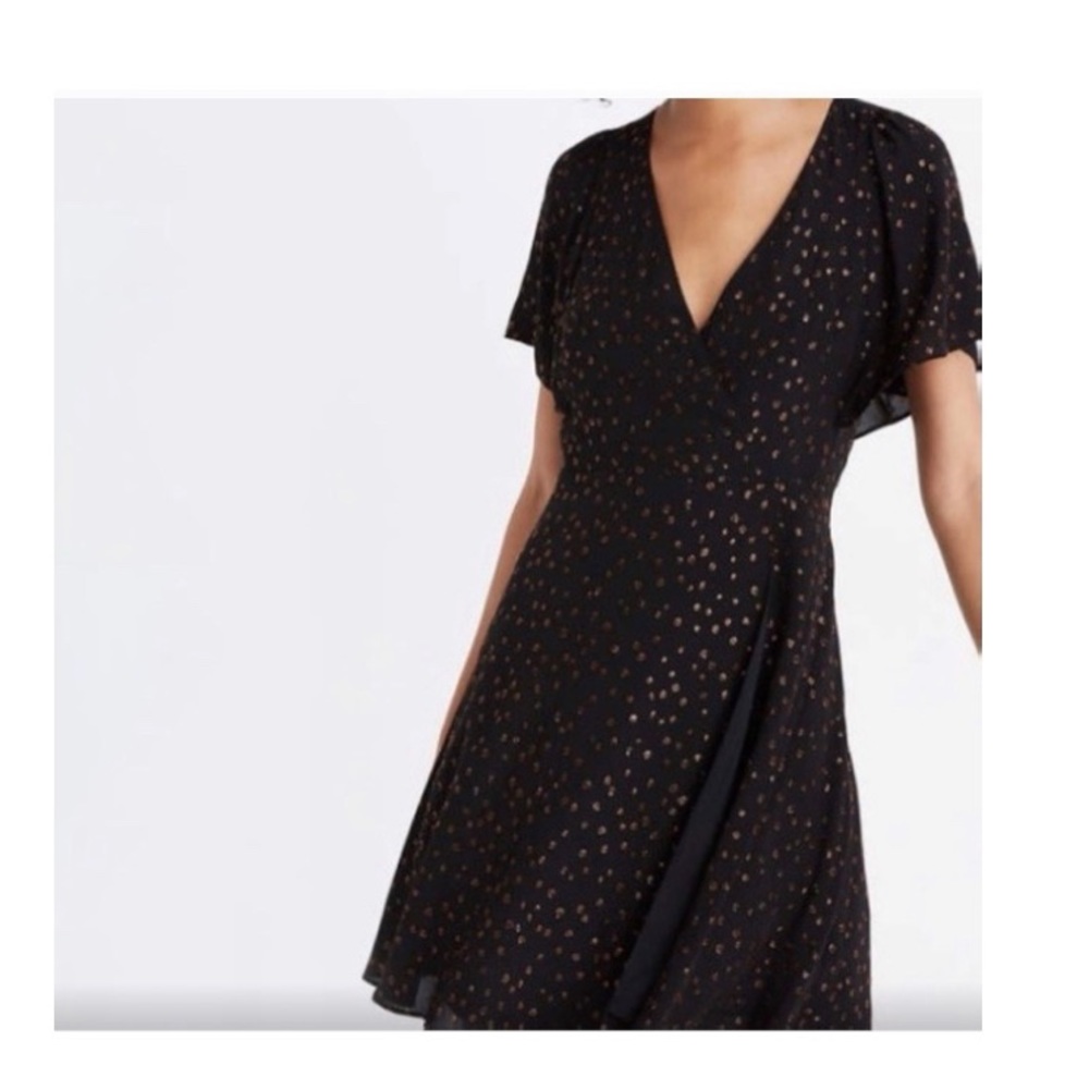 Madewell Dress with Metallic Dots